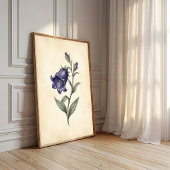 Une impression d'art botanique vintage