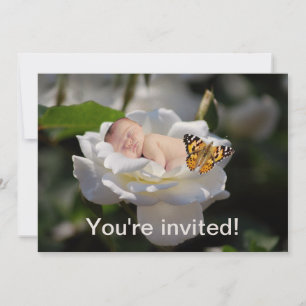 Une invitation à la rose blanche et aux bébés