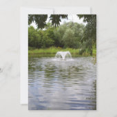 Une invitation à tout usage pour votre événement (Devant)