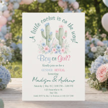 Une invitation de révélation du sexe de bébé avec 