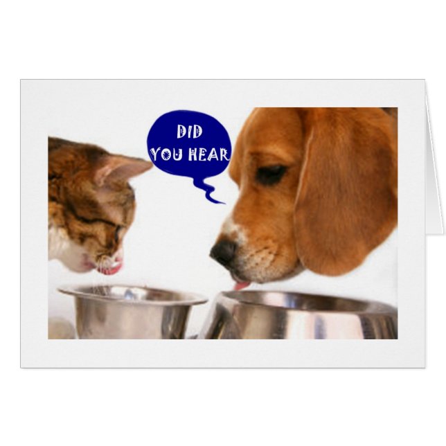 UNE JEUNE FEMME TRÈS SPÉCIALE EST ***21*** (Devant horizontal)