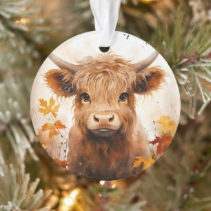 Une jolie gamme de vaches Highland Design 1