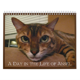 Une journée dans la vie d'Ansel Calendrier - 21 mo
