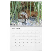 Une journée dans la vie d'Ansel Calendrier - 21 mo (Mar 2026)