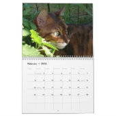 Une journée dans la vie d'Ansel Calendrier - 21 mo (Feb 2026)