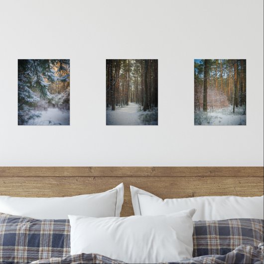 Une journée ensoleillée en hiver dans la pinède (Chambre à coucher)