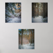 Une journée ensoleillée en hiver dans la pinède (Recto)