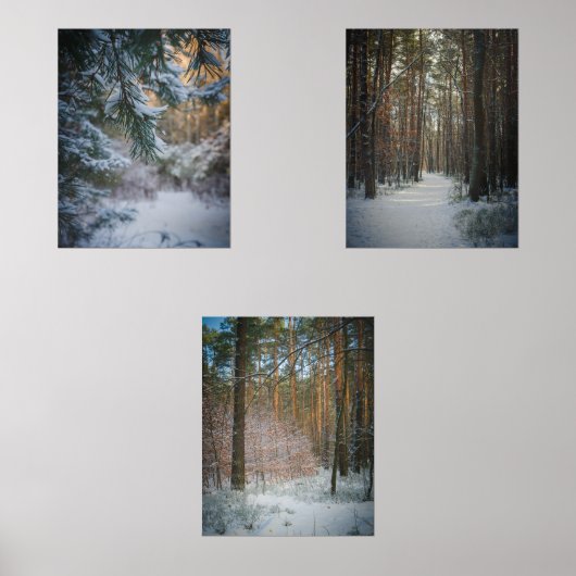 Une journée ensoleillée en hiver dans la pinède (Recto)