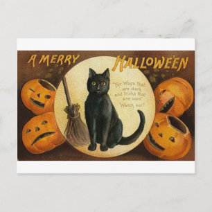 Une joyeuse carte de chat Halloween