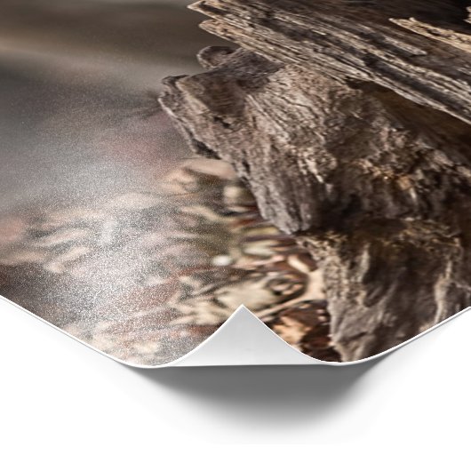 Une joyeuse petite jachère - Impression photo de c (Coin)