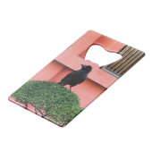 Une Jungle À Gros Billages Croque Une Perche Sur U (Dos Angle)