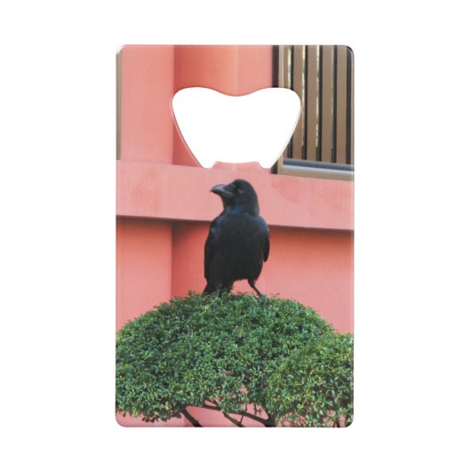 Une Jungle À Gros Billages Croque Une Perche Sur U (Dos)