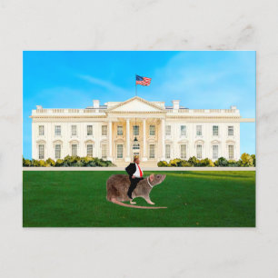 Une légende dans son propre esprit Carte postale