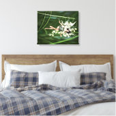 Une lueur dans la toile du jardin enveloppée (Insitu(Chambre))