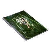 Une lueur dans le Carnet du jardin (Côté Droit)