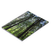 Une marche dans le Woods Journal (Côté gauche)