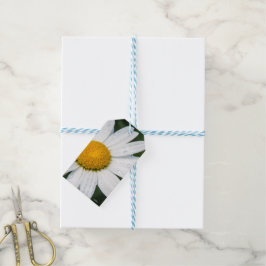 Une margueritte, font vert cadeaulabel