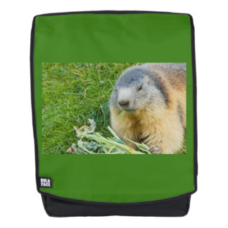 une marmotte sociable sur Sac à dos adulte + visag