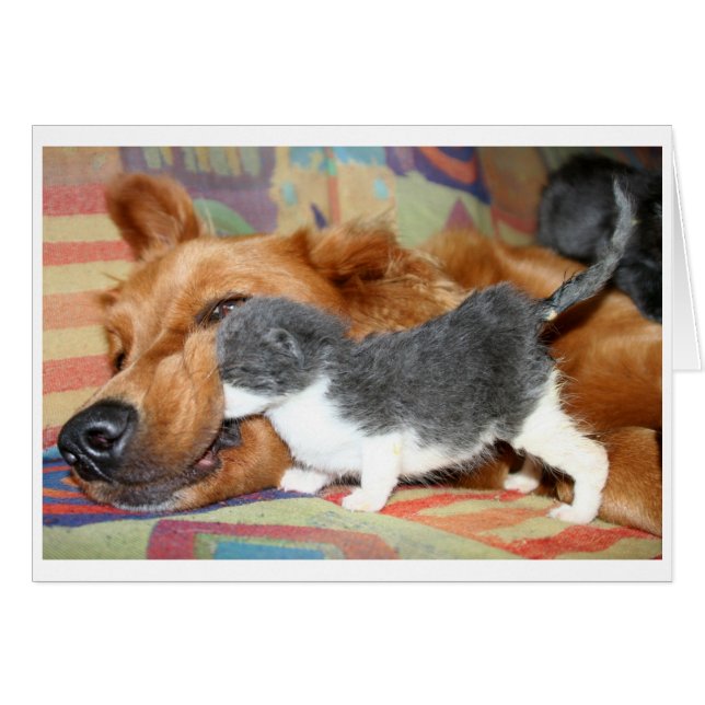 Une mauvaise façon ? (Devant Horizontal)