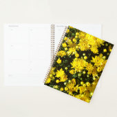 Une multitude de mamans jaunes (Devant avec enveloppe)