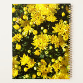 Une multitude de mamans jaunes (Dos)