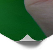 Une nouvelle affiche de lancement de l'maïs (Coin)