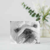 Une nouvelle carte postale d'ami (Debout devant)