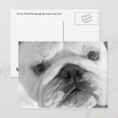 Une nouvelle carte postale d'ami (Devant / Derrière)