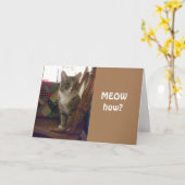 UNE NOUVELLE CARTE POUR ADOLESCENTS ***13*** (Fleur jaune)