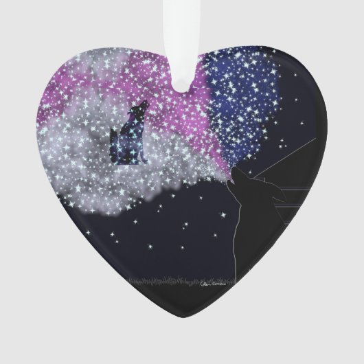 Une nuit d'été avec Sirius (devant)