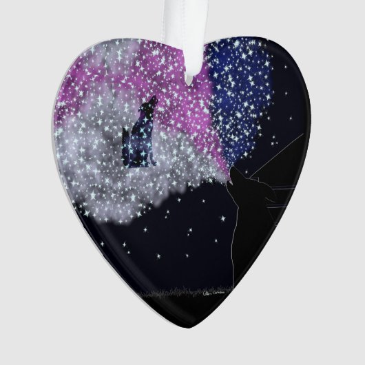 Une nuit d'été avec Sirius (devant)