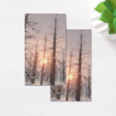 Une nuit d'hiver Signets de rêve (Bureau)