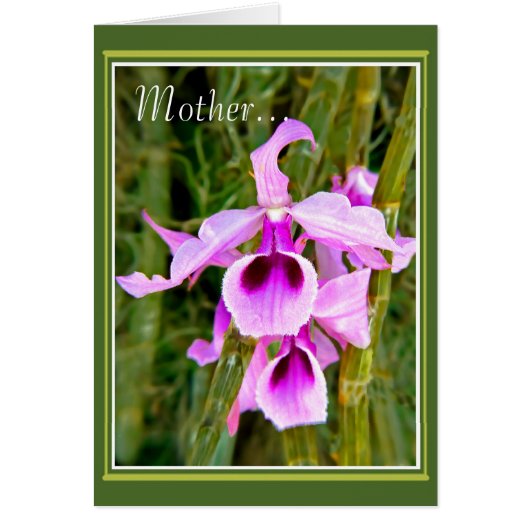 Une orchidée pour mère (Devant)