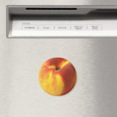 UNE PEACH D'UN MAGNET POUR VOTRE PORTE DE RÉFRIGÉR (In Situ (Lave-vaisselle))