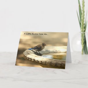 Une petite birdie m'a indiqué… Obtenez la carte