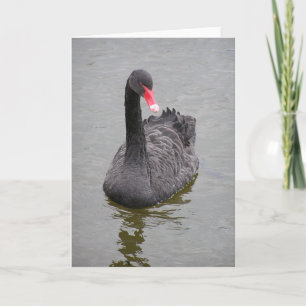 Une photo d'un cygne noir sur une carte de billet