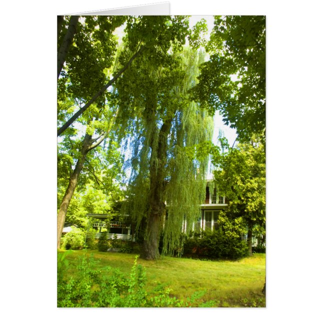 Une place au-delà - Mystère presque en vue (Devant)