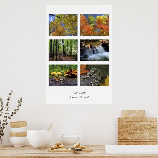 Une promenade dans les bois, poster (Cuisine)