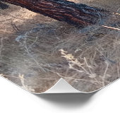 Une promenade parmi les arbres Poster brillant (Coin)