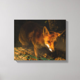 une réunion nocturne avec un renard sur toile tend
