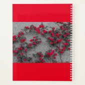 une rose grimpe sur un mur de briques sur planific (Dos)