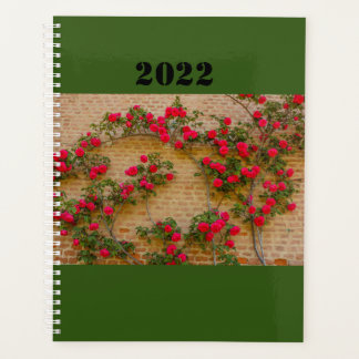 une rose grimpe sur un mur de briques sur planific