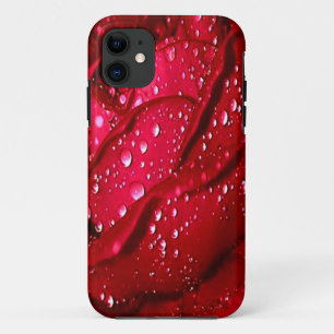 Une rose rouge unique dans le Coque de l'iPhone de