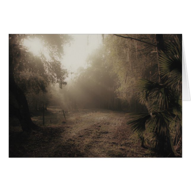 Une route de campagne en Floride (Devant horizontal)