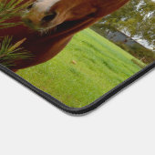 "Une ruche de la nature : un cheval de châtaignier (Coin)