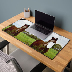 "Une ruche de la nature : un cheval de châtaignier