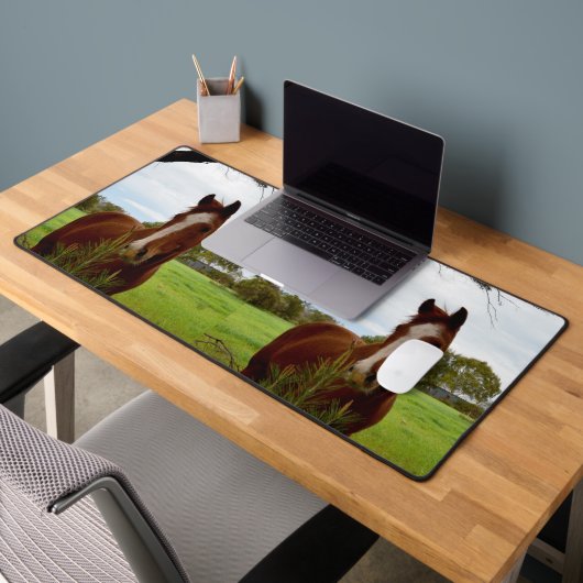 "Une ruche de la nature : un cheval de châtaignier (Bureau 2)