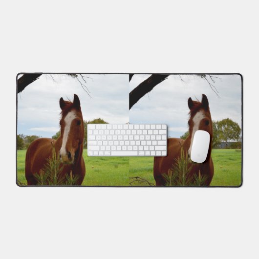 "Une ruche de la nature : un cheval de châtaignier (Clavier et souris)