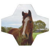 "Une ruche de la nature : un cheval de châtaignier (Plat)