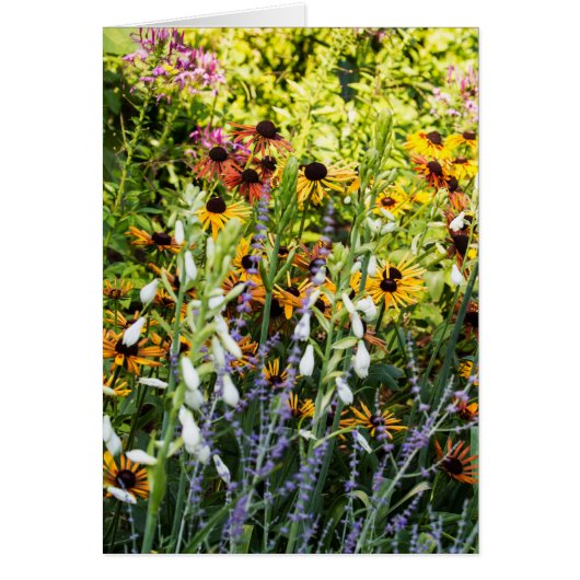 Une ruée de couleurs (Devant)